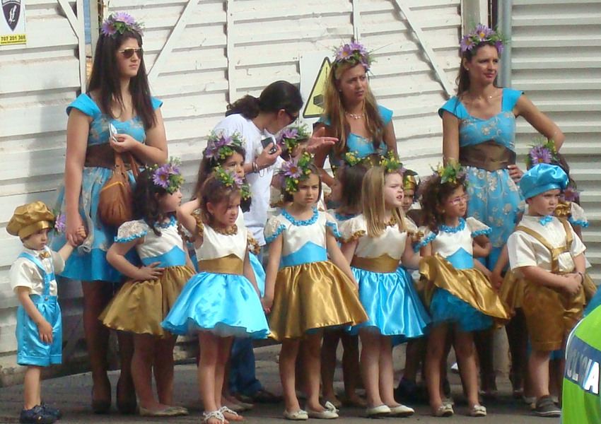 Festa de Flor 2013