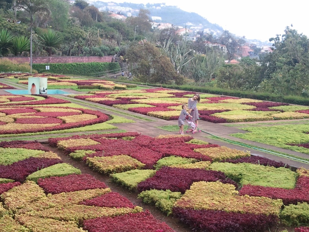 Jardim Botânico da Madeira